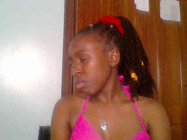 chocolate-brownie webcam