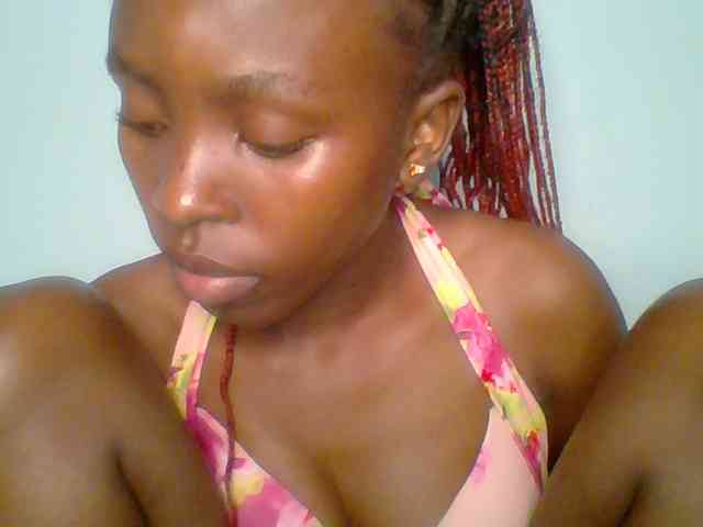 chocolate-brownie webcam