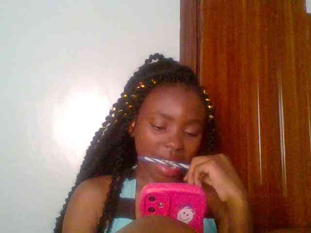 chocolate-brownie webcam