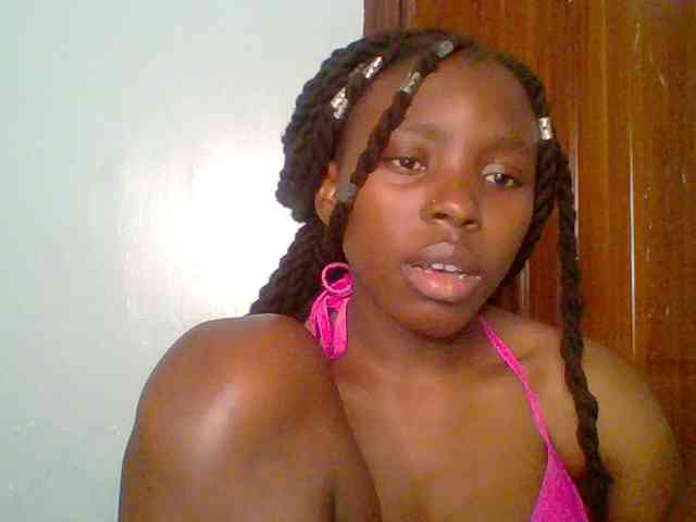 chocolate-brownie webcam