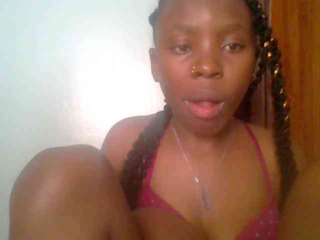 chocolate-brownie webcam