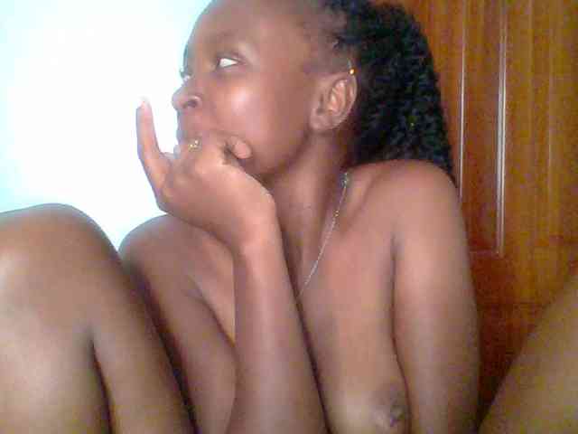 chocolate-brownie webcam