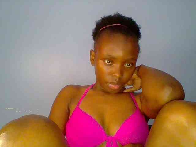 chocolate-brownie webcam