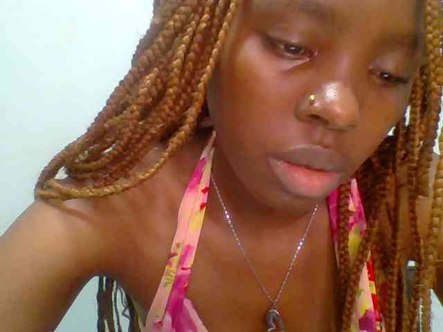 chocolate-brownie webcam