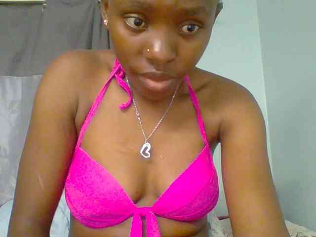 chocolate-brownie webcam