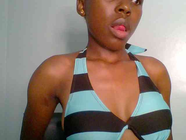 chocolate-brownie webcam