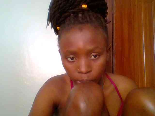 chocolate-brownie webcam