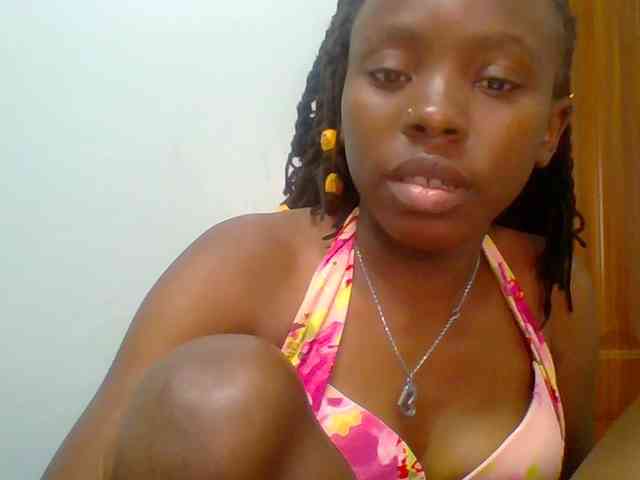 chocolate-brownie webcam