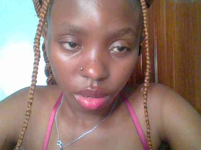 chocolate-brownie webcam