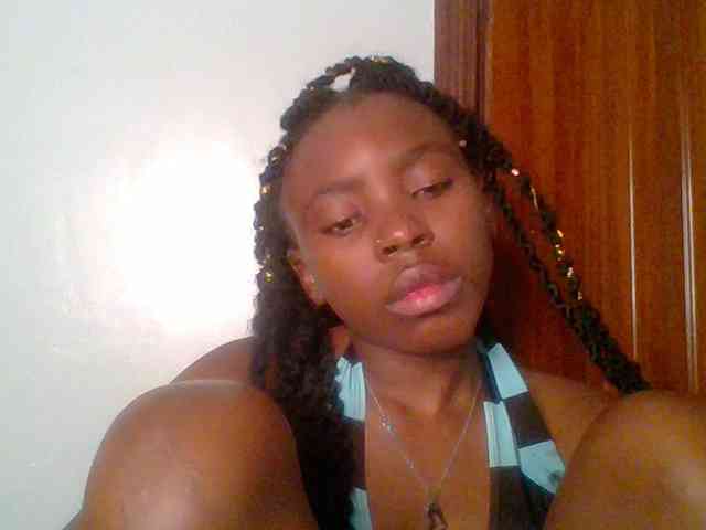 chocolate-brownie webcam