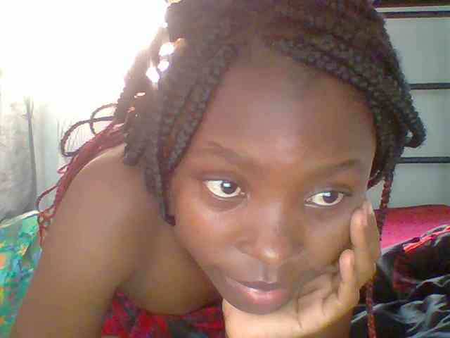 chocolate-brownie webcam