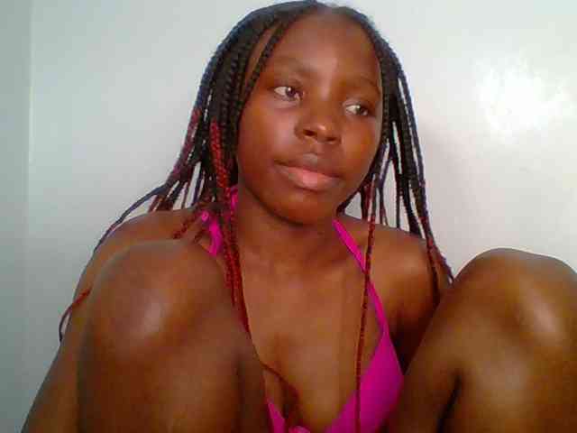 chocolate-brownie webcam