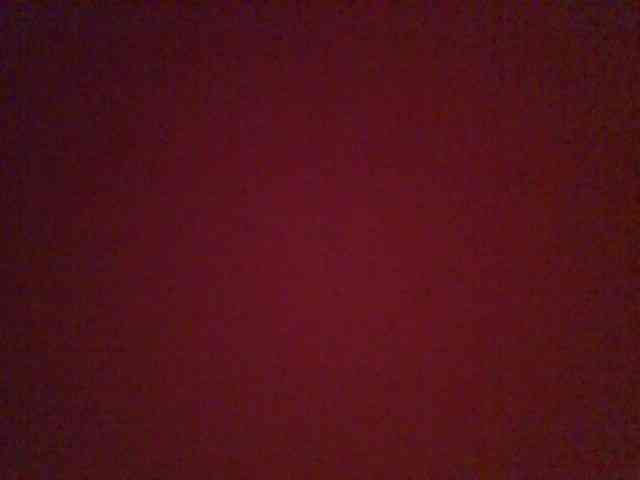 chocolate-brownie webcam