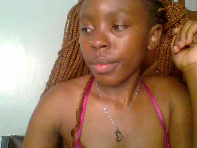 chocolate-brownie webcam