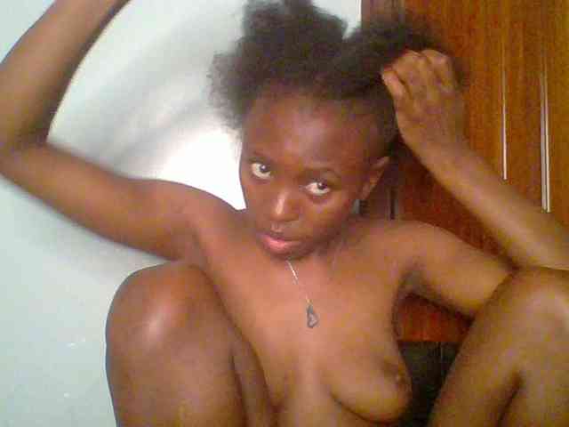 chocolate-brownie webcam