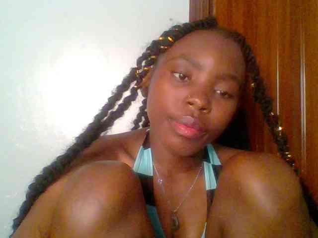 chocolate-brownie webcam