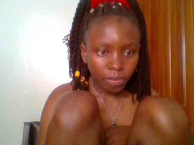 chocolate-brownie webcam