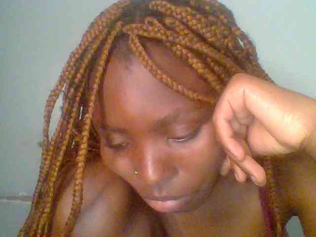 chocolate-brownie webcam