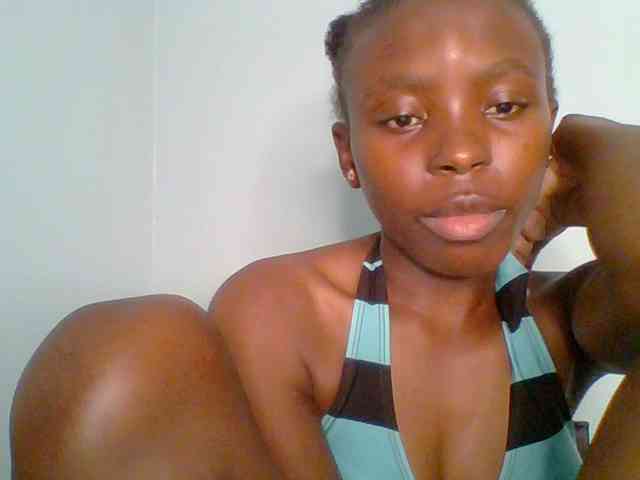 chocolate-brownie webcam