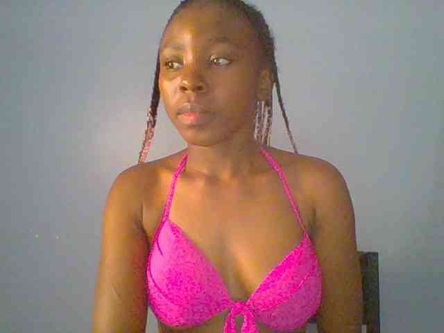 chocolate-brownie webcam