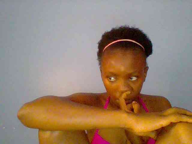 chocolate-brownie webcam