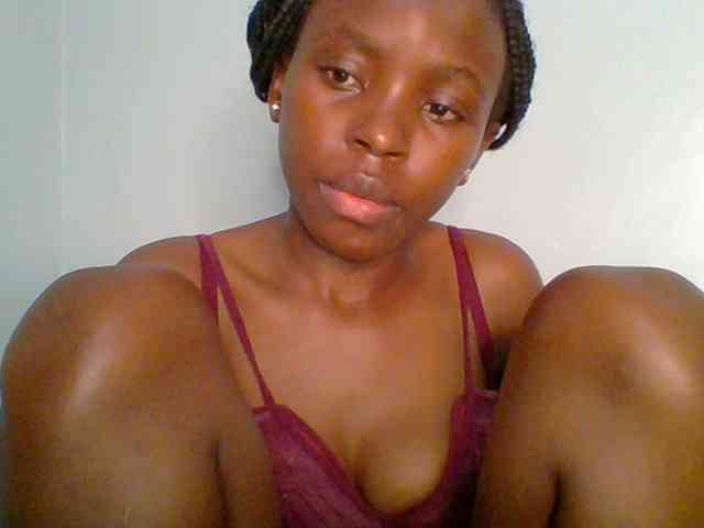 chocolate-brownie webcam