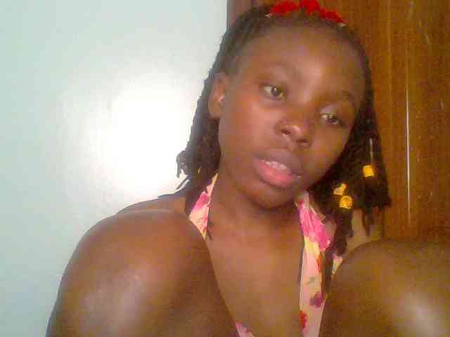 chocolate-brownie webcam