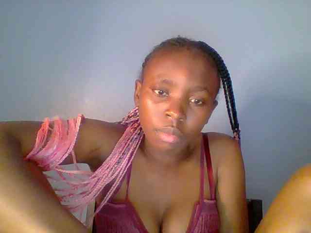 chocolate-brownie webcam