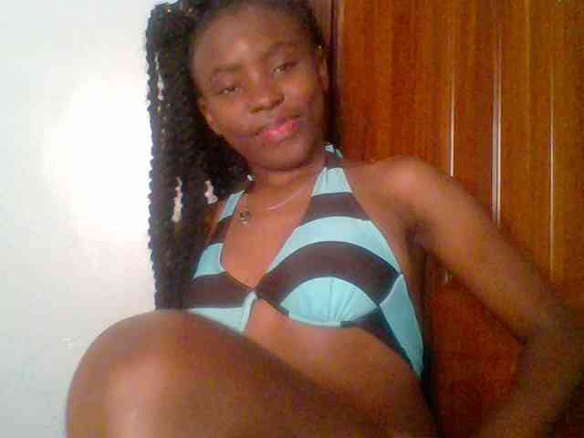 chocolate-brownie webcam