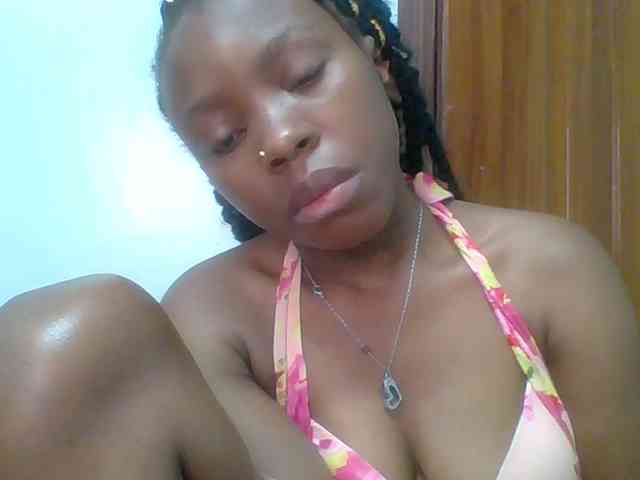 chocolate-brownie webcam