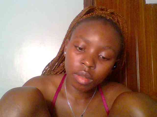 chocolate-brownie webcam