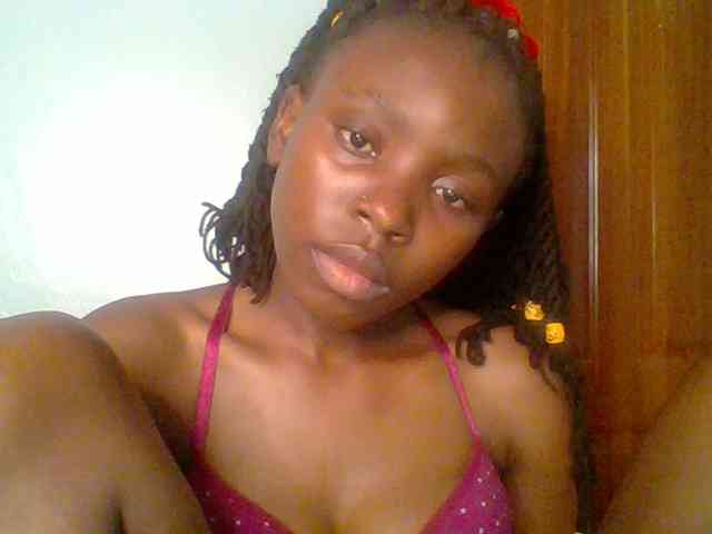 chocolate-brownie webcam