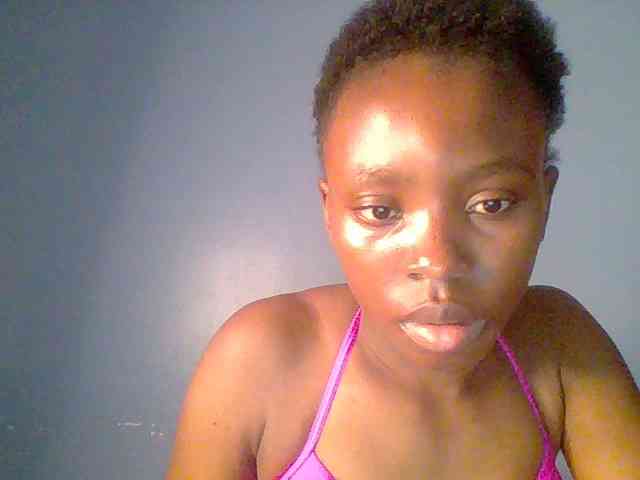 chocolate-brownie webcam