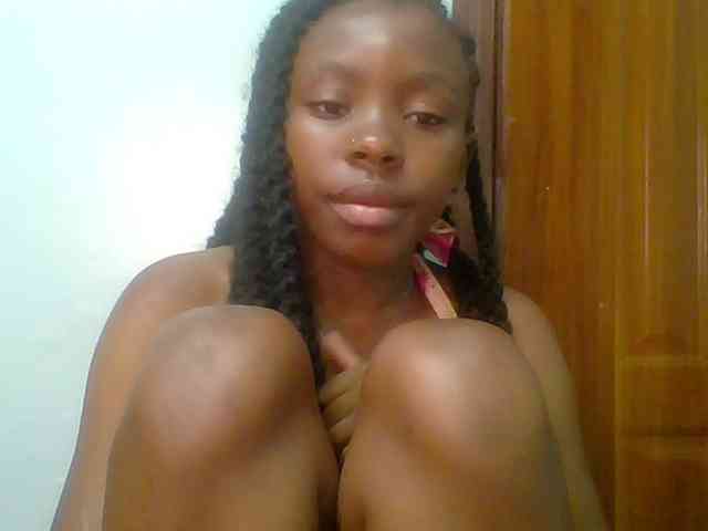 chocolate-brownie webcam