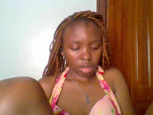 chocolate-brownie webcam