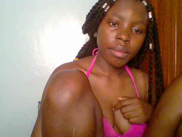 chocolate-brownie webcam