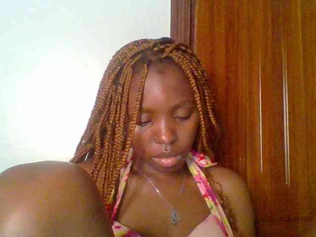 chocolate-brownie webcam