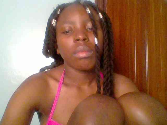 chocolate-brownie webcam