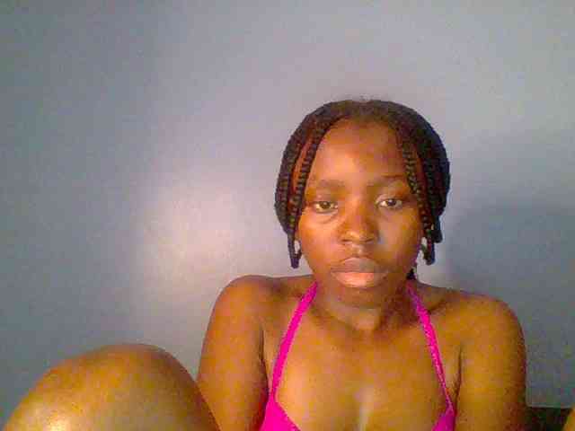 chocolate-brownie webcam
