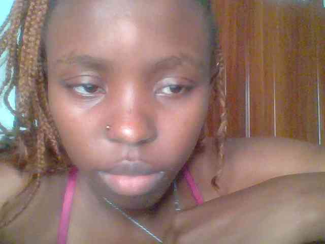 chocolate-brownie webcam