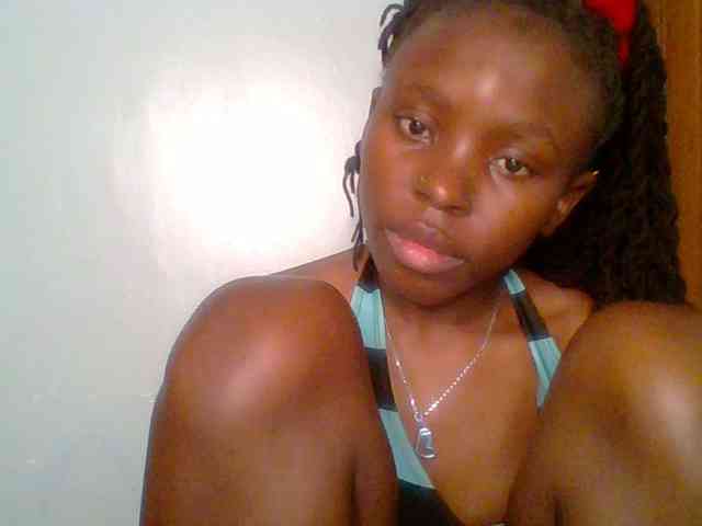 chocolate-brownie webcam