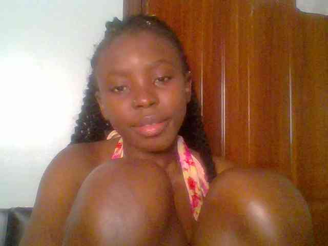 chocolate-brownie webcam