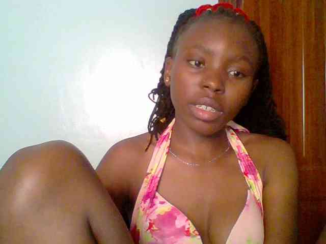 chocolate-brownie webcam