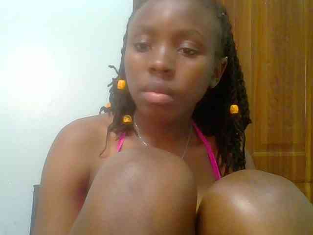 chocolate-brownie webcam