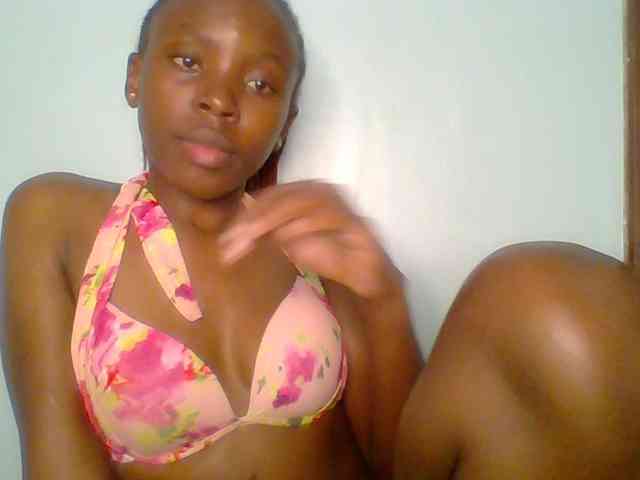 chocolate-brownie webcam