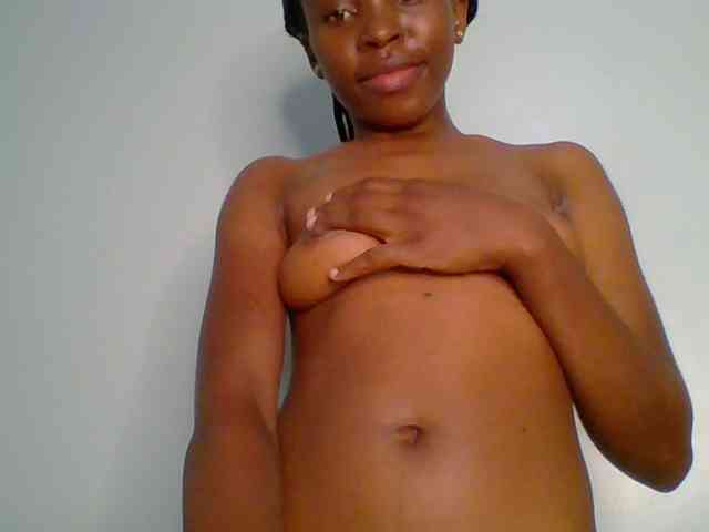 chocolate-brownie webcam