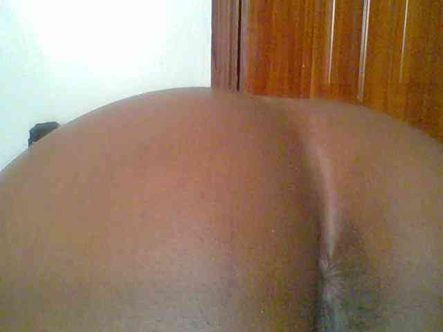 chocolate-brownie webcam