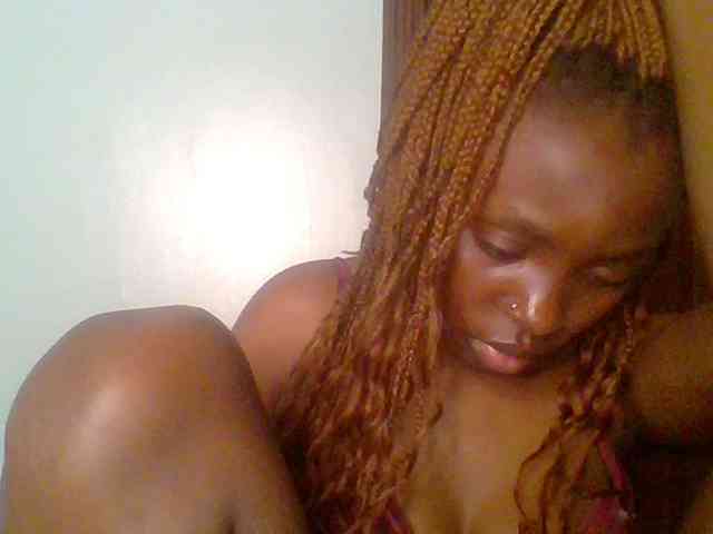 chocolate-brownie webcam