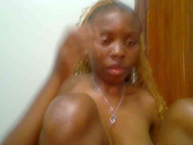 chocolate-brownie webcam