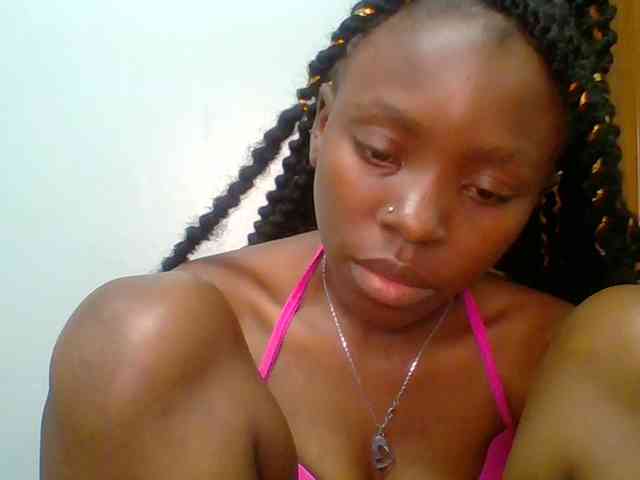 chocolate-brownie webcam